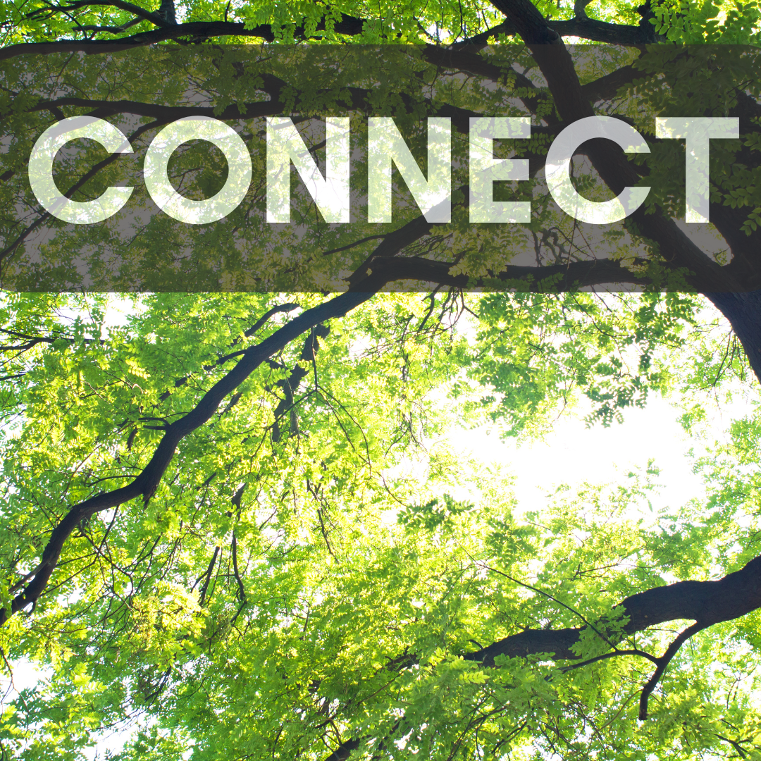 Connect with Nature: Connect with You -  A Half-Day Immersive Wellness Retreat